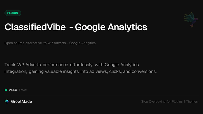 ClassifiedVibe - Google Analytics