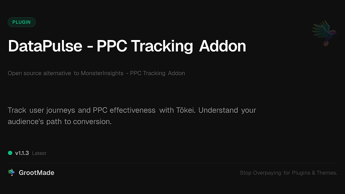 DataPulse - PPC Tracking Addon