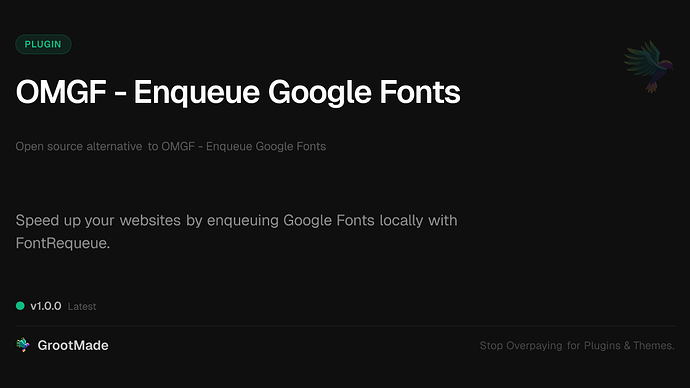 OMGF - Enqueue Google Fonts