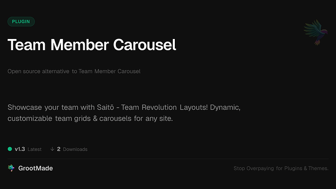 Team Member Carousel