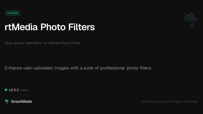 rtMedia Photo Filters