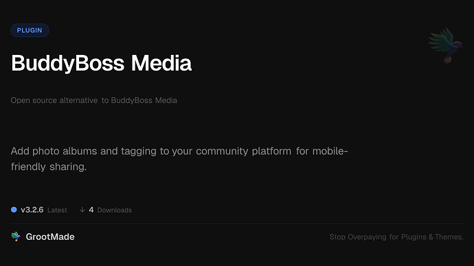 BuddyBoss Media