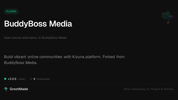 BuddyBoss Media