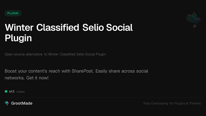 Winter Classified Selio Social Plugin