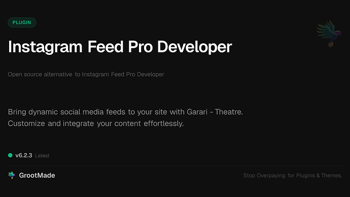 Instagram Feed Pro Developer