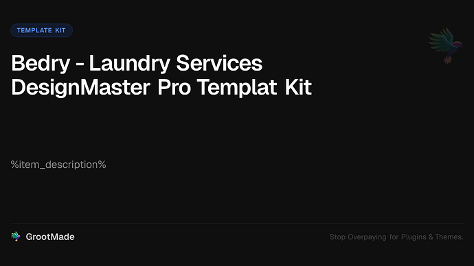 Bedry - Laundry Services DesignMaster Pro Templat Kit