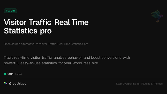 Visitor Traffic Real Time Statistics pro